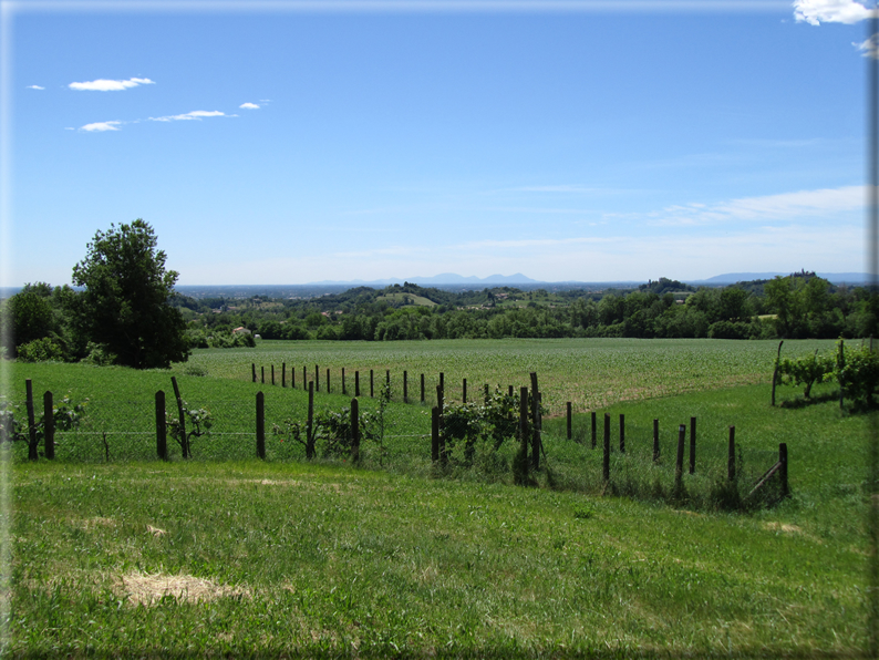 foto Paesaggi alle Pendici del Monte Grappa